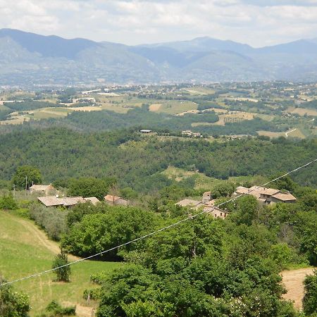 Montanari Agrivillage Narni Kültér fotó