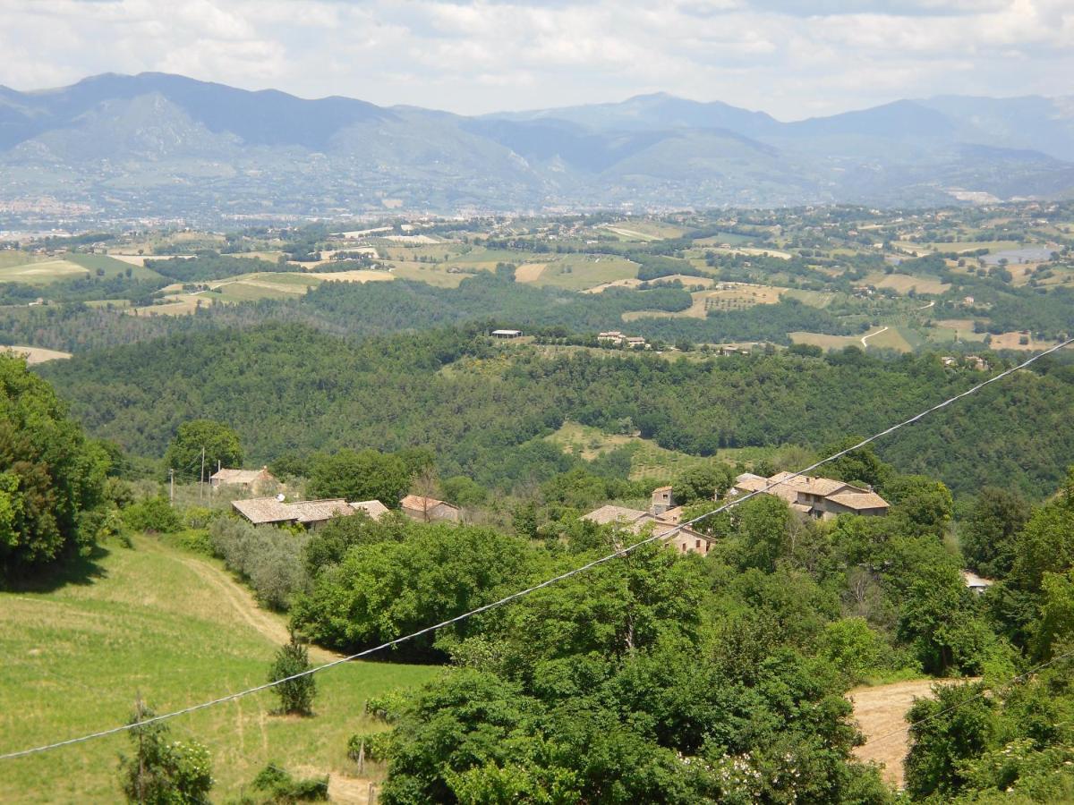 Montanari Agrivillage Narni Kültér fotó