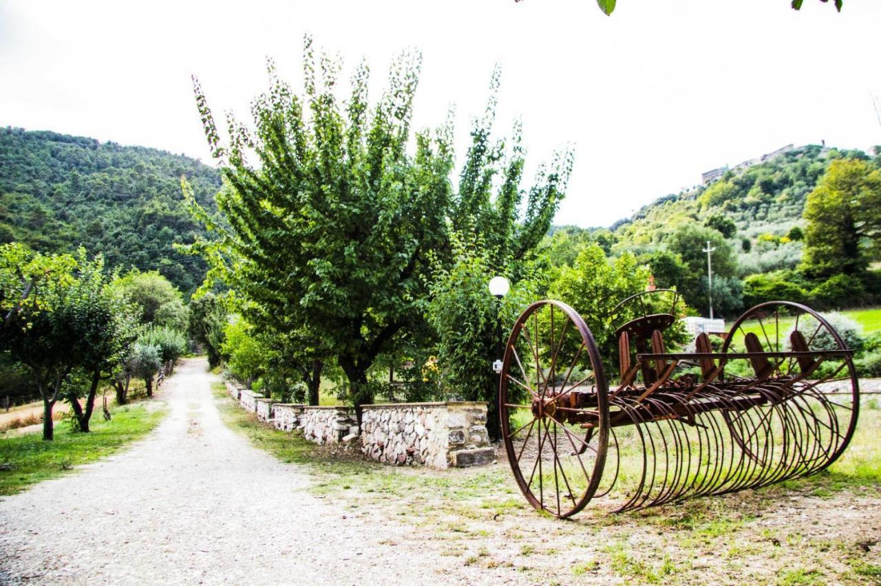 Montanari Agrivillage Narni Kültér fotó