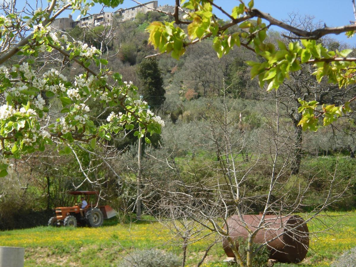 Montanari Agrivillage Narni Kültér fotó