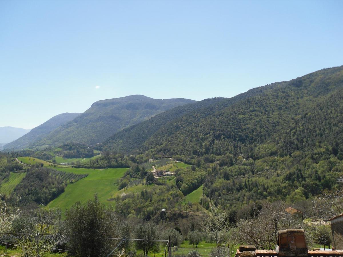 Montanari Agrivillage Narni Kültér fotó