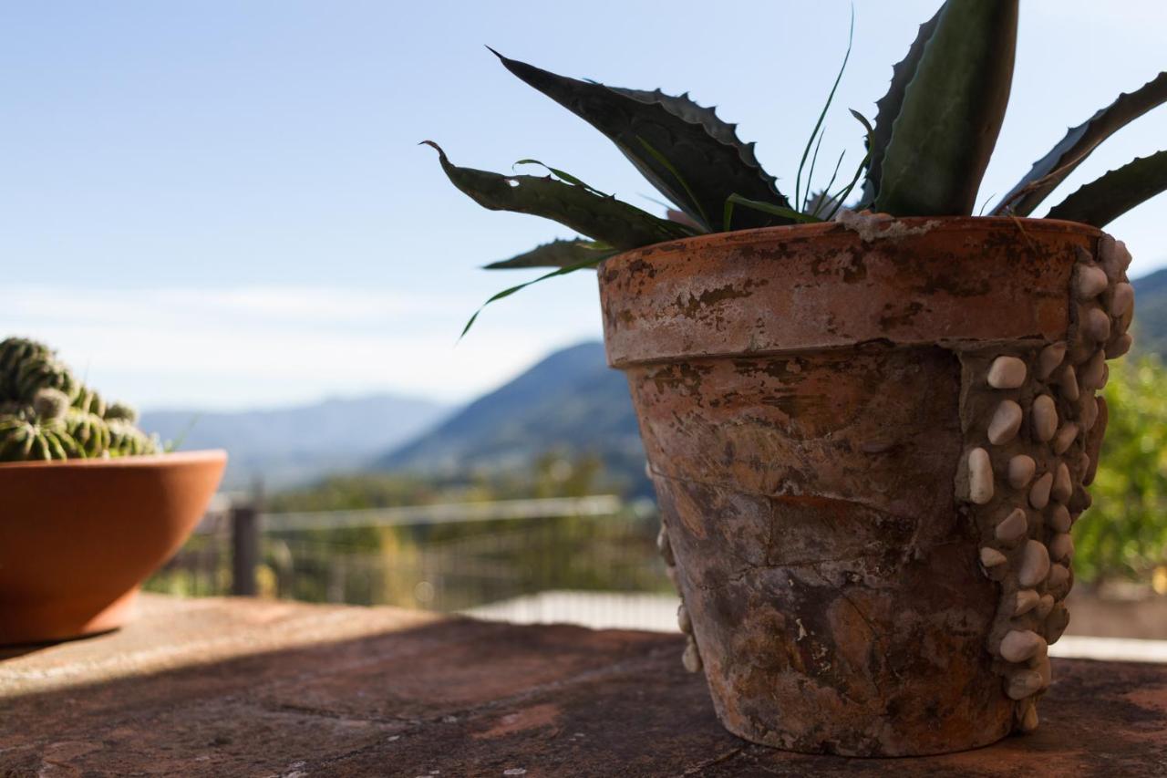 Montanari Agrivillage Narni Kültér fotó