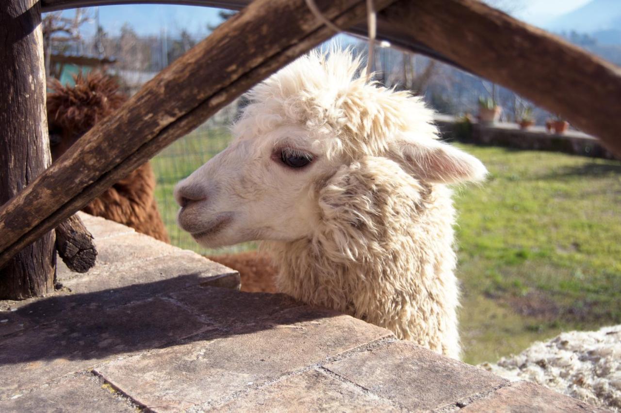 Montanari Agrivillage Narni Kültér fotó